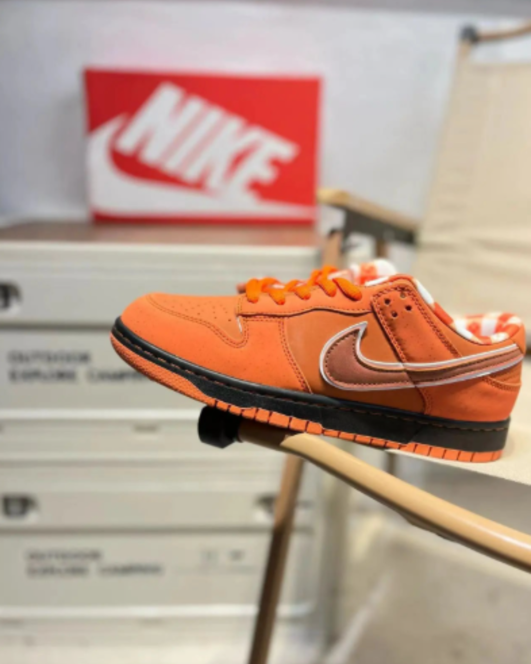 Nike Dunk The 50 (+STYLE)