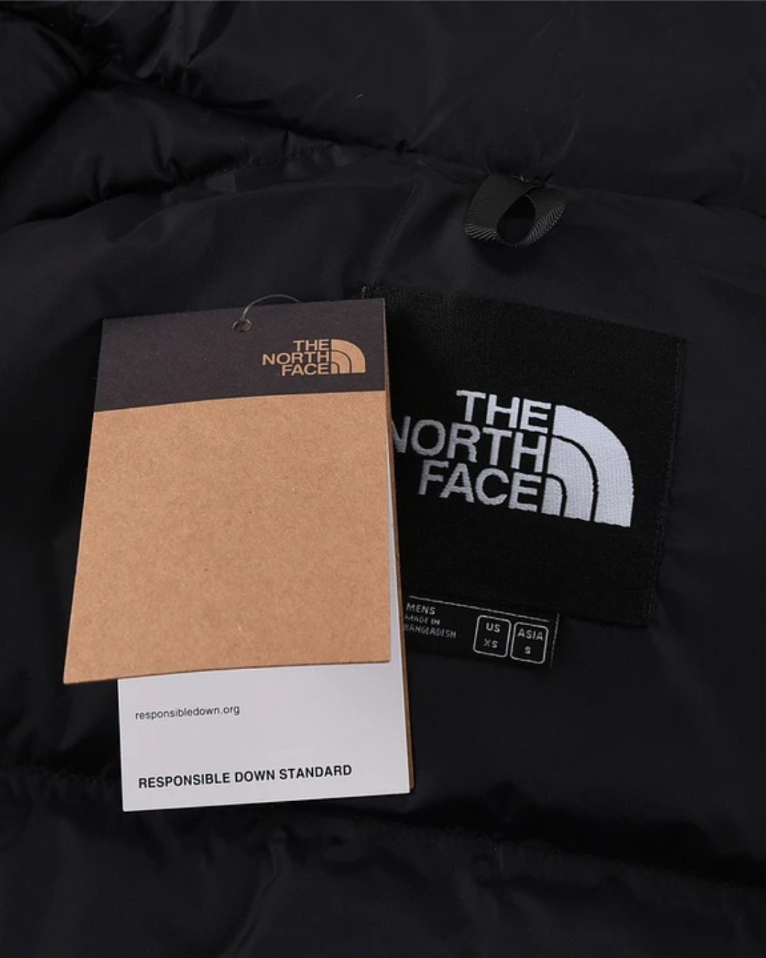 North Face - Winter 2025 Promotion ❄️🔥