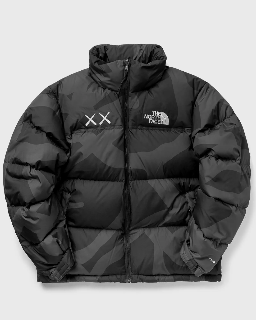 North Face TNF X KAWS 'PROJECT X' Winter 2025 Promotion ❄️🔥