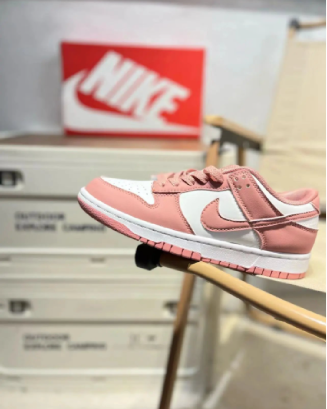 Nike Dunk The 50 (+STYLE)